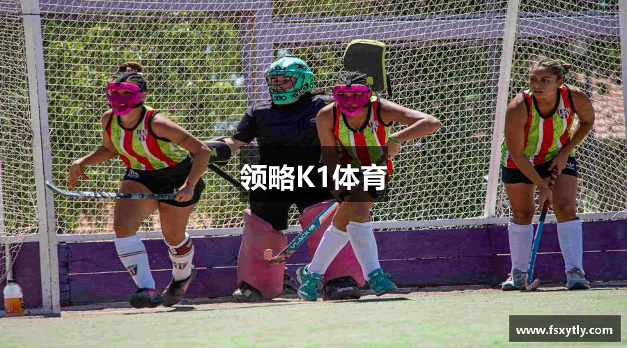 领略K1体育
